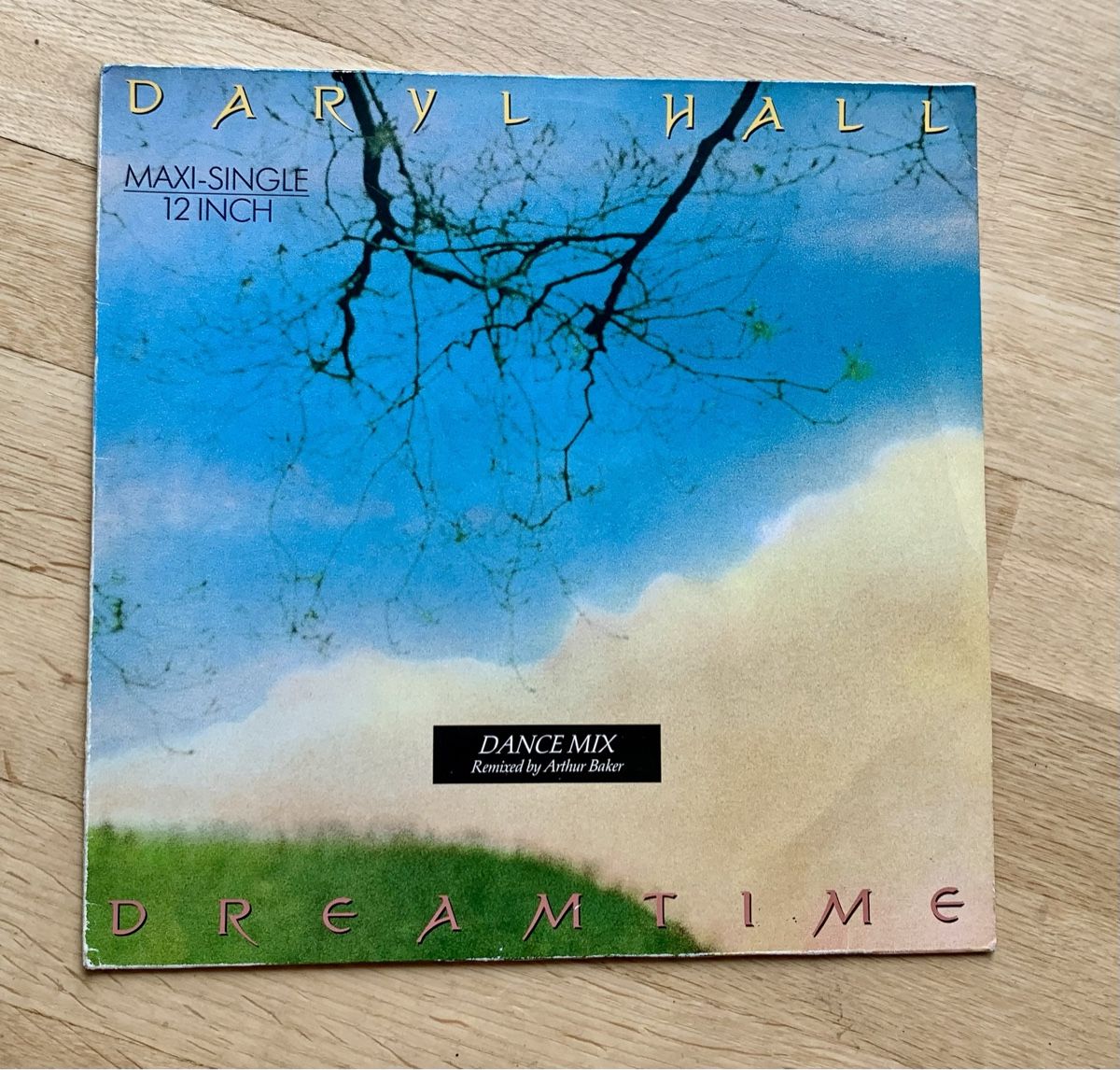 Dischi in vinile: Daryl Hall Dreamtime 12"Maxi – Usato da Zürich venduto da Fieber