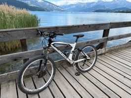Mountainbike Scott Genius 20,  vollgefedert Grösse L