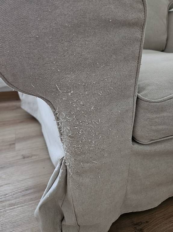 Fauteuils: Sessel – D'occasion à Burgdorf par Xheader 1