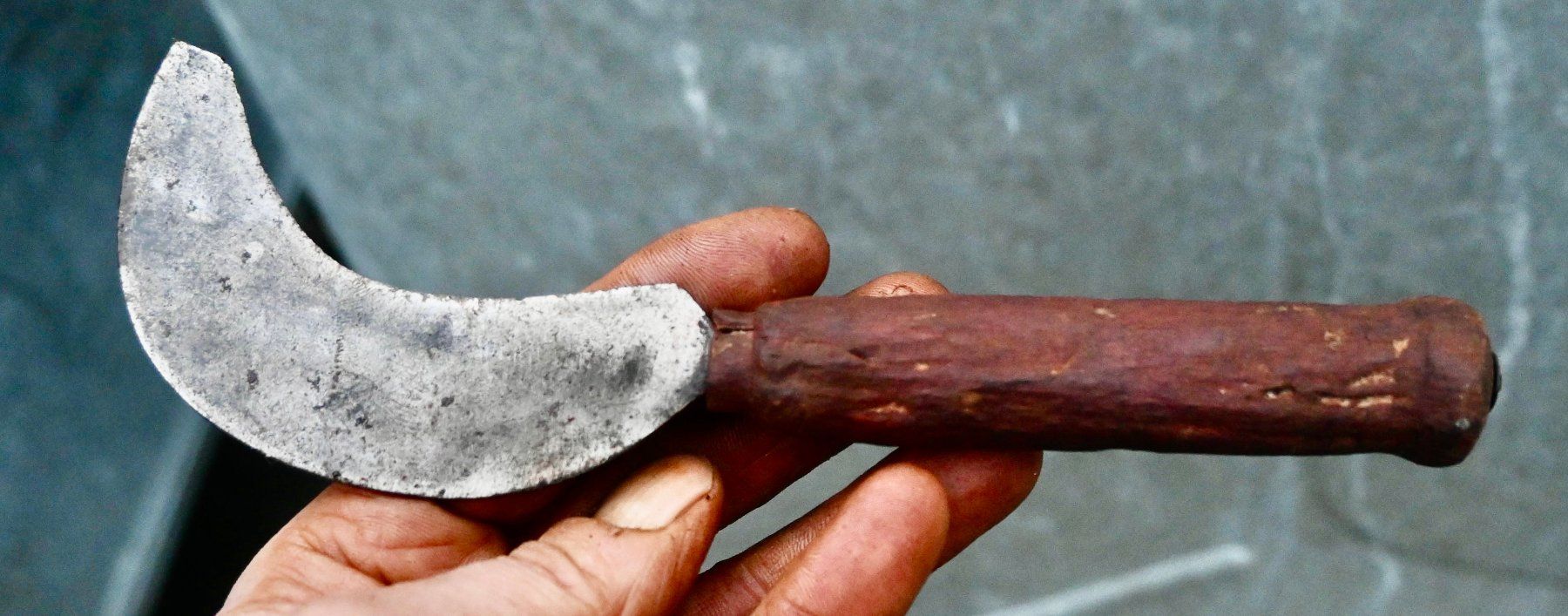 Tutti gli attrezzi: ANTIKE Handsichel Länge ca. 19cm - MUTEL À DAMPARIS – Usato da Pfaffhausen venduto da mono_rec 2