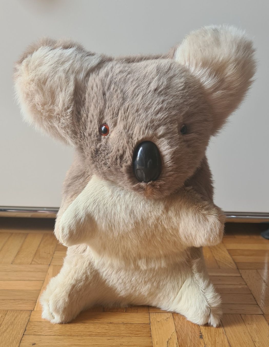 Tutte le decorazioni: Plüschtier Koala – Usato da Zürich venduto da tku755