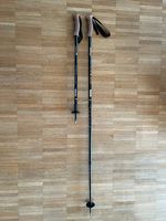Bâtons de marche téléscopiques 130cm