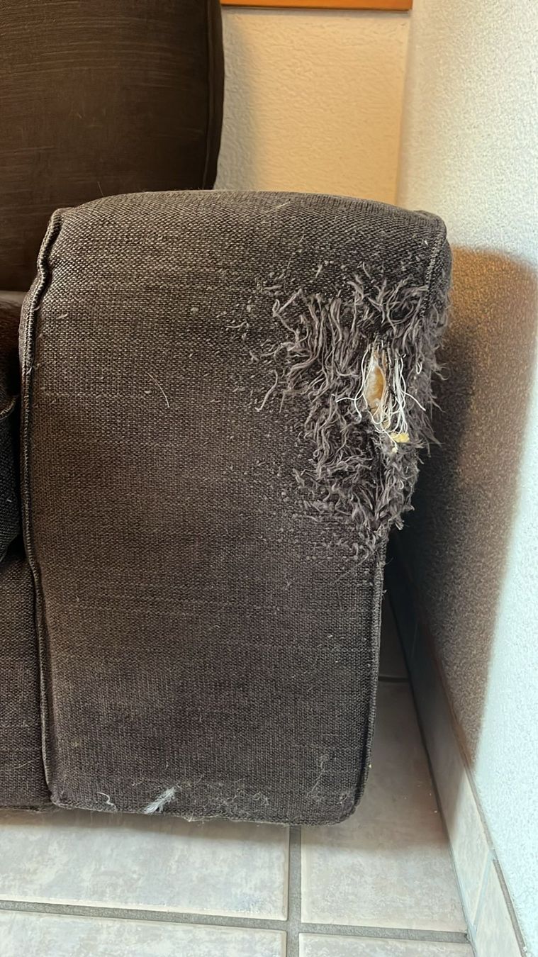 Ikea Divani: IKEA KIVIK Sofa inkl. neuem Bezug – Usato da Lachen SZ venduto da arm_88pw 4