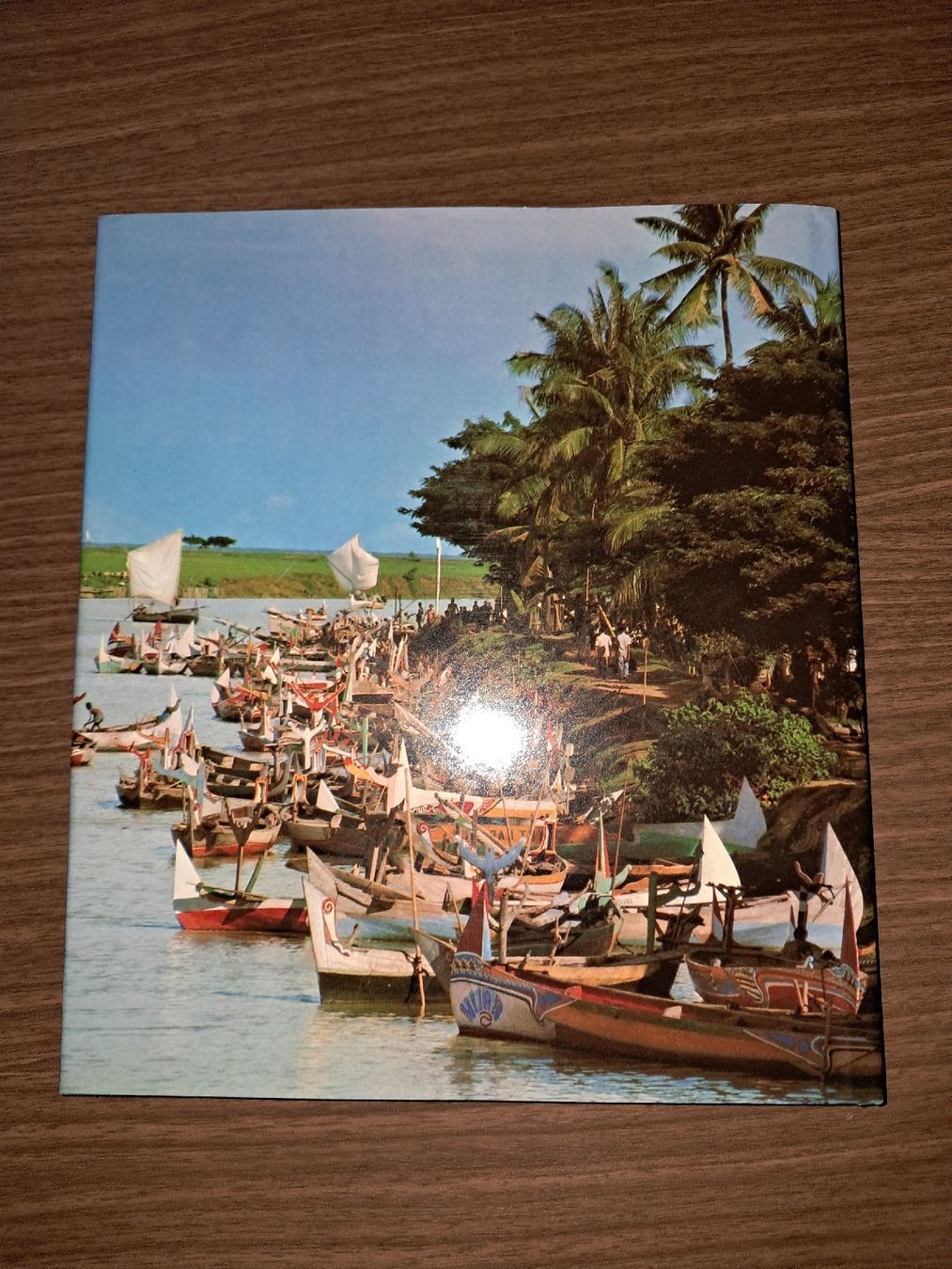 Libri: Livre sur l'indonesie – Usato da Le locle venduto da juliensaran 4