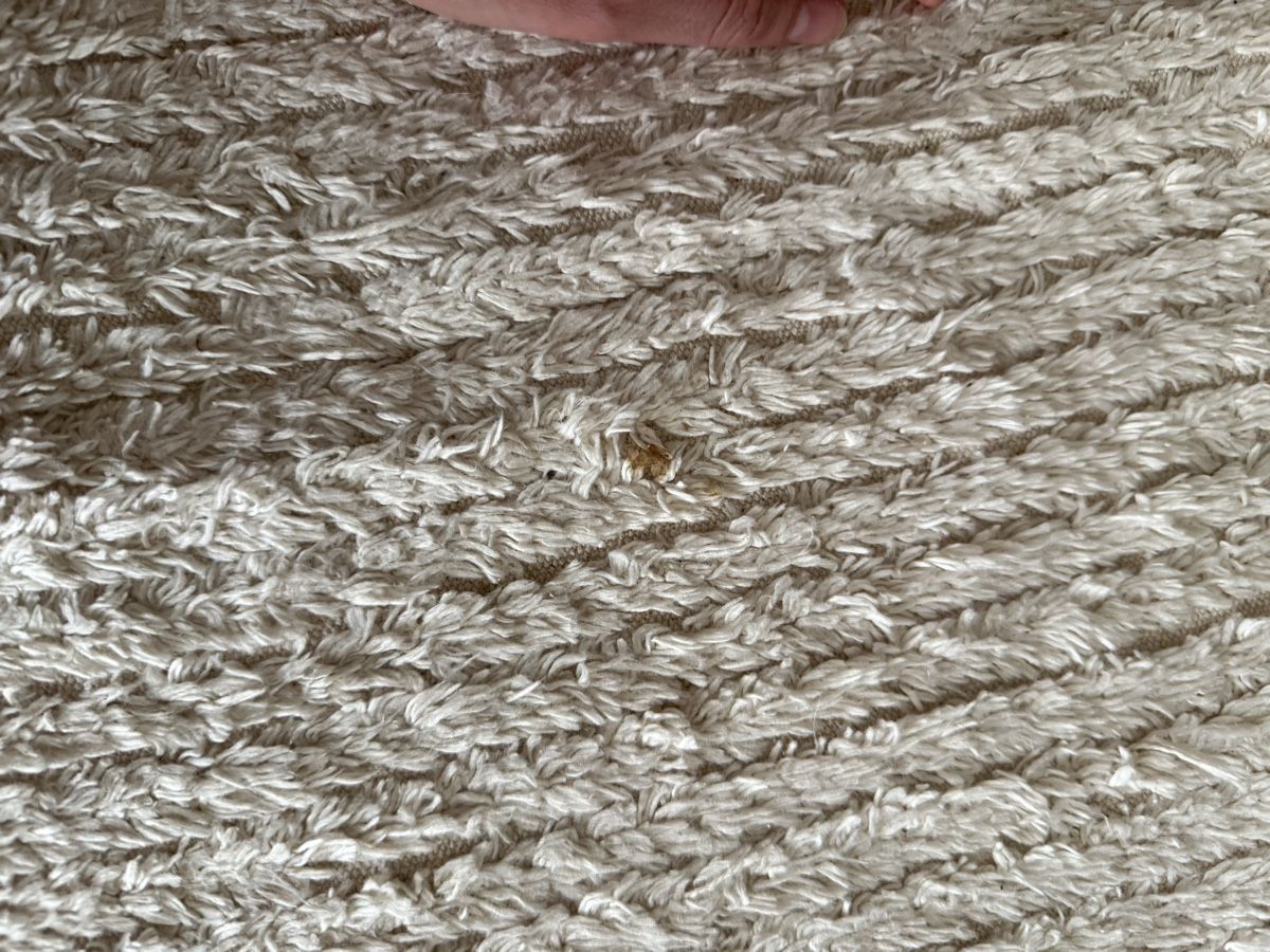 Beliani Teppiche: Teppich Baumwolle beige 160 x 230 cm  – Gebraucht aus Kreuzlingen von Javiercalza 1