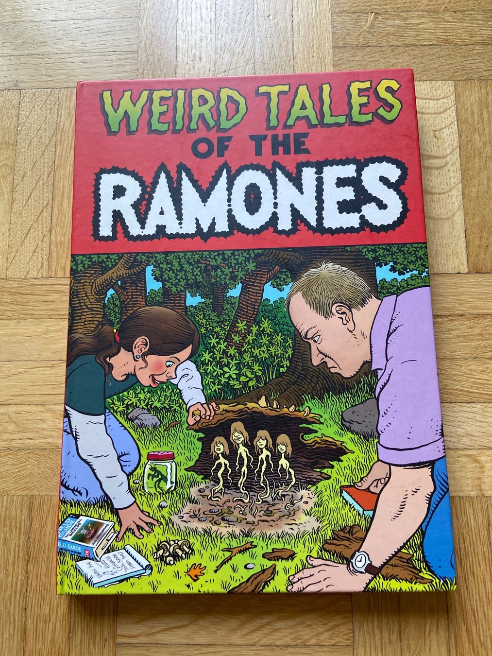Alle DVDs: Ramones – Gebraucht aus Wabern von fingersinfactories 4