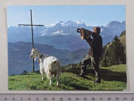 Betruf, Wetterhorngruppe, Poststempel Lungern, 1969, Ziege