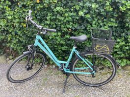 Top Damenfahrrad, hellblau, Korb vorne, Top Zustand!