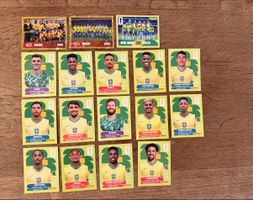 ⚽️Panini WM Sticker⚽️ Brasilien