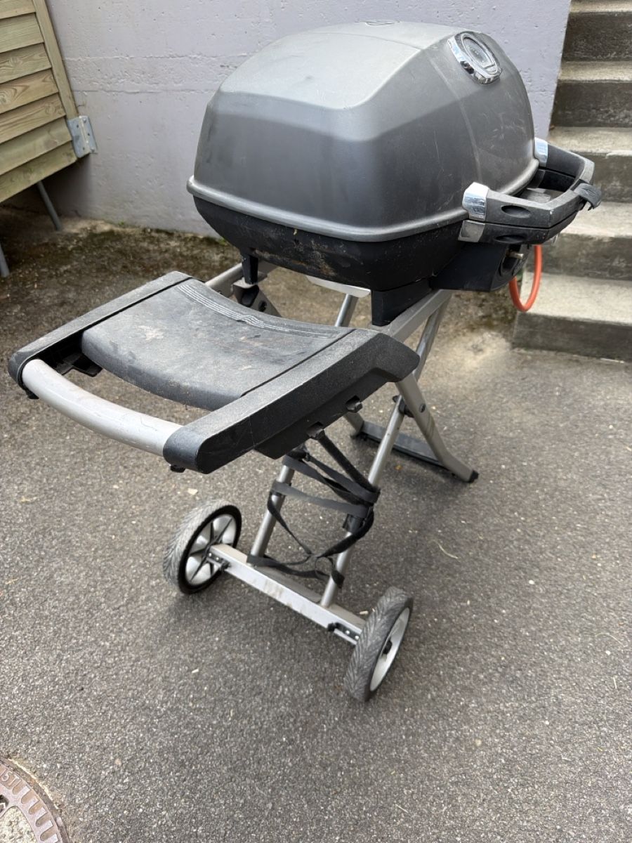 Griglie: Napoleon Grill – Usato da Rothrist venduto da Jacktk 1