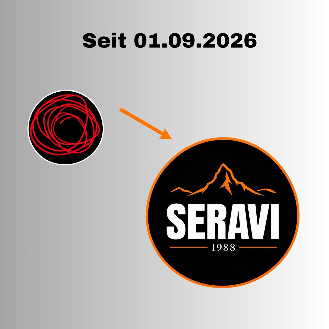 Catenine: 2in1 Citrin Halskette ODER Armband   Emarra – Nuovo e nell'imballaggio originale da Gossau SG venduto da Seravi1988 9