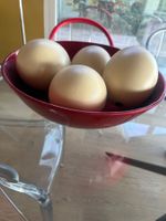 Chinese bowl with four ostrich eggs