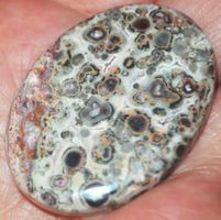 Cabochon L-2176 – Leopardenfell Jaspis 42x30mm
