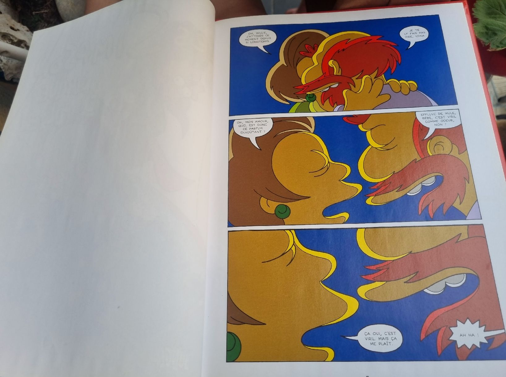 Fumetti: BD Les Simpson Cirque en folie!  – Usato da Fribourg venduto da sal_5ln6 7