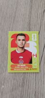 Fifa World Cup Panini CAN 16