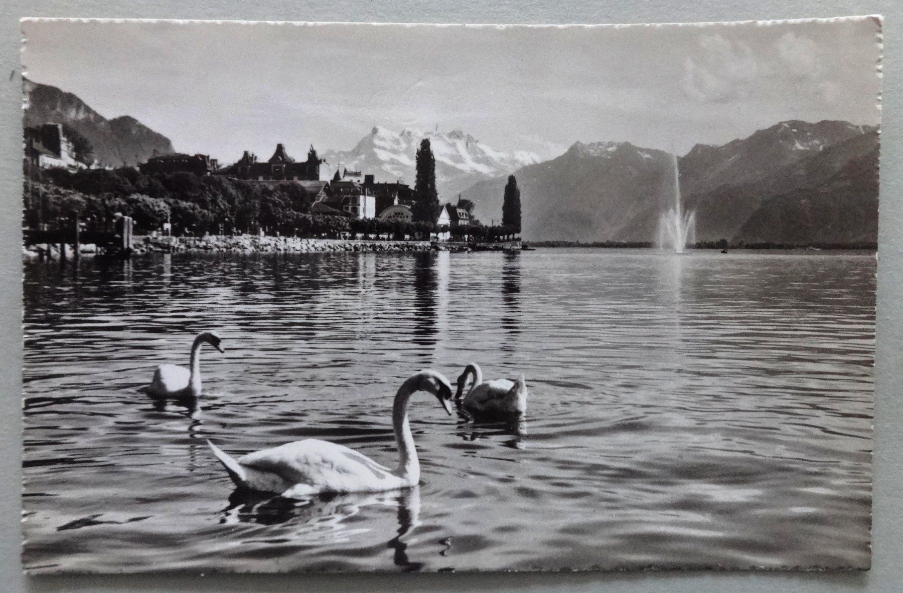 Cartoline postali: Montreux et les Dents du Midi – Usato da Fétigny venduto da Billy2miny