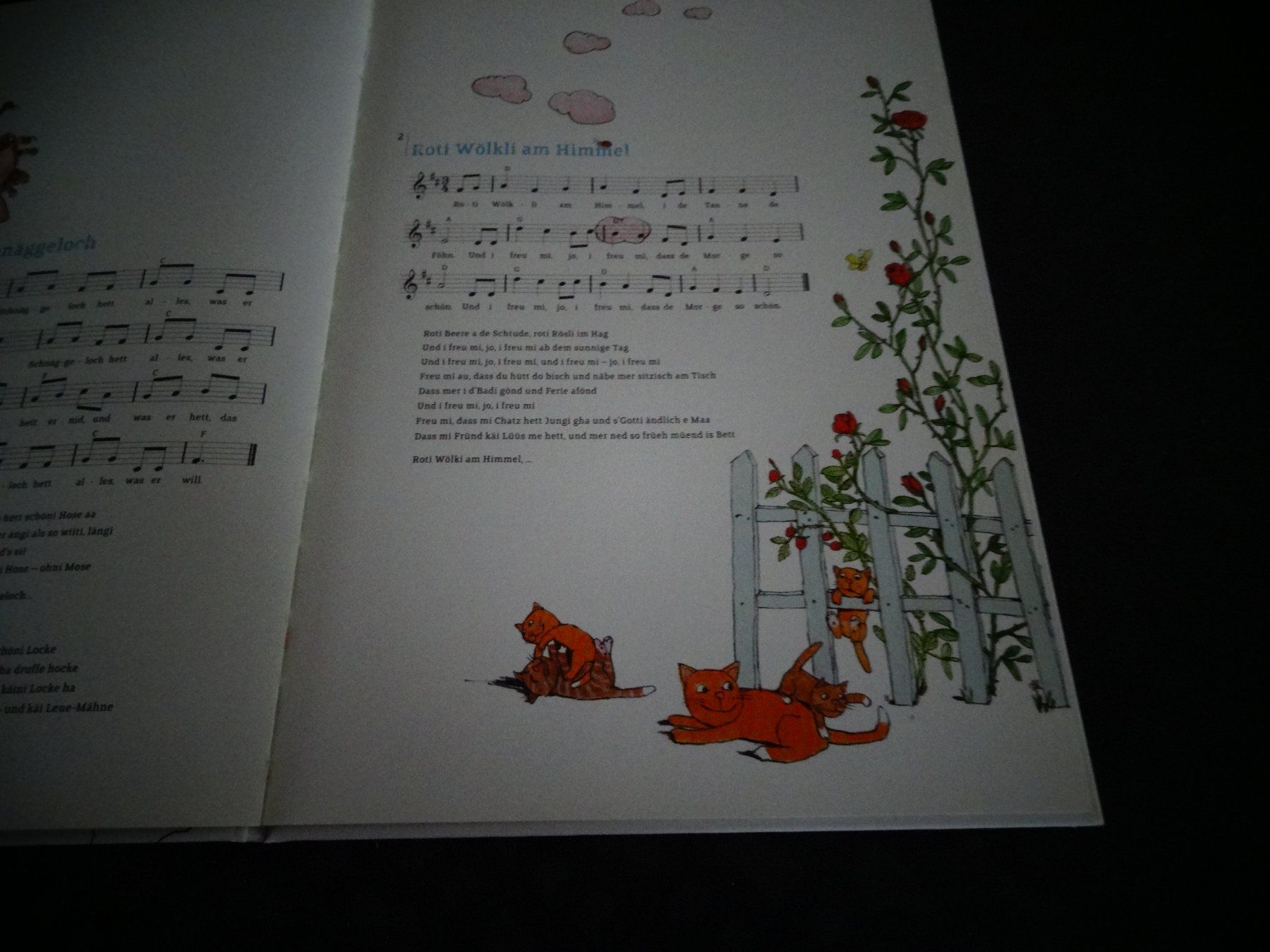 Libri: Immer de Hans 20 KInderlieder – Usato da Neerach venduto da jenny062 4