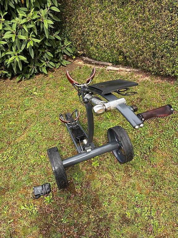 Biciclette: Golf, Agent Golf Smart E, Eletktr.  mit elekt. Bremssystem – Usato da Schaffhausen venduto da pbrunos1