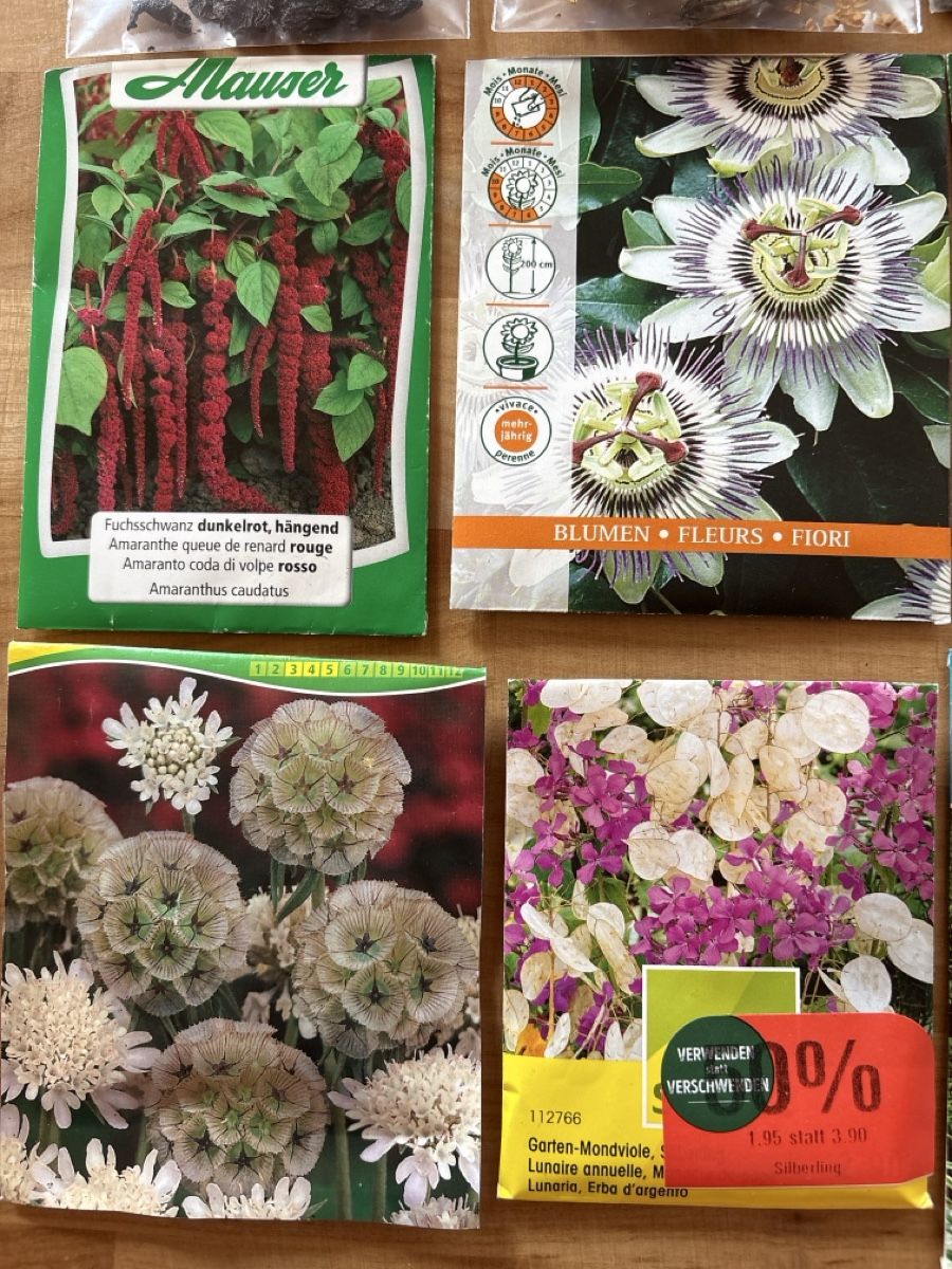 Plantes & graines: Samen Sammlung – D'occasion à Rümlang par Fledermaus35 1