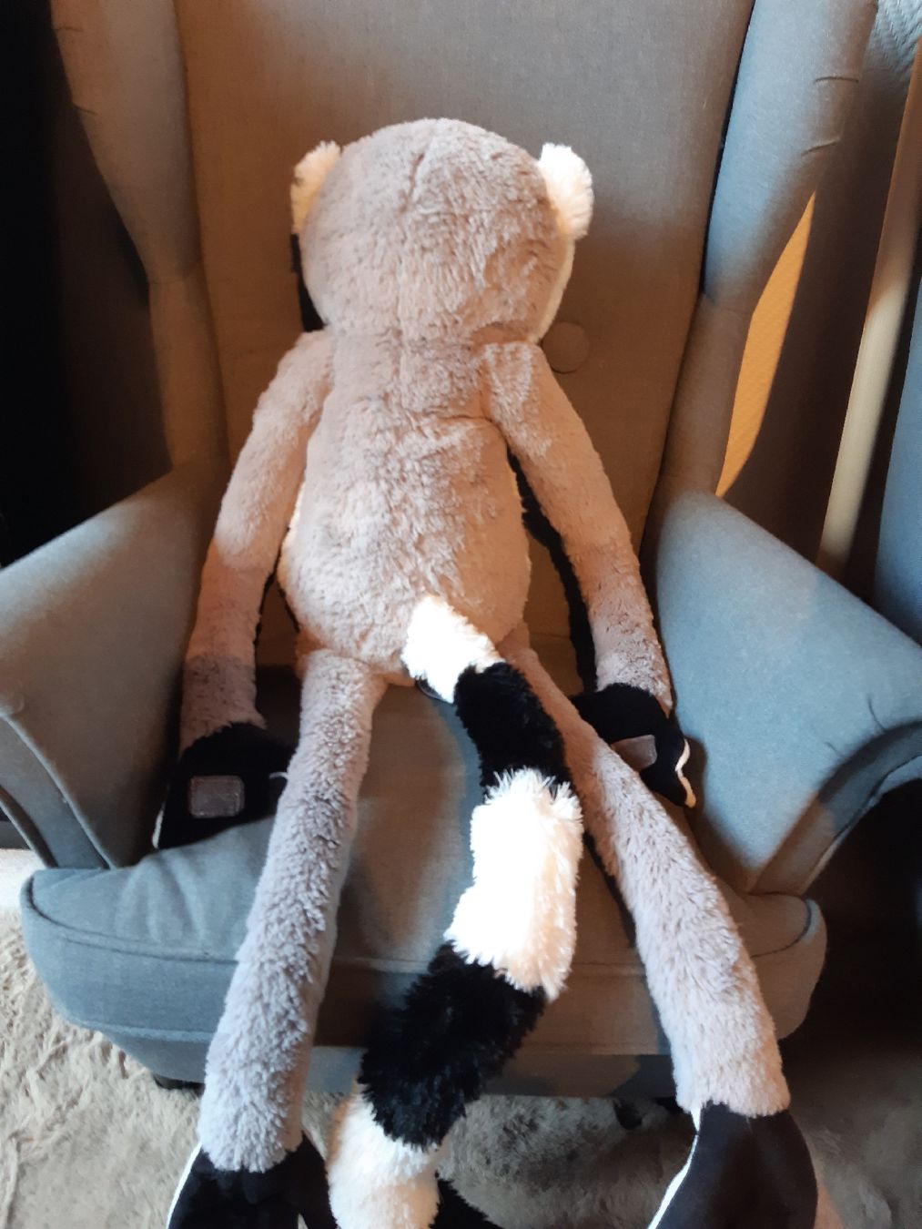 Giocattoli: plüschtier lemur – Usato da Toffen venduto da Gwunderegge77 2