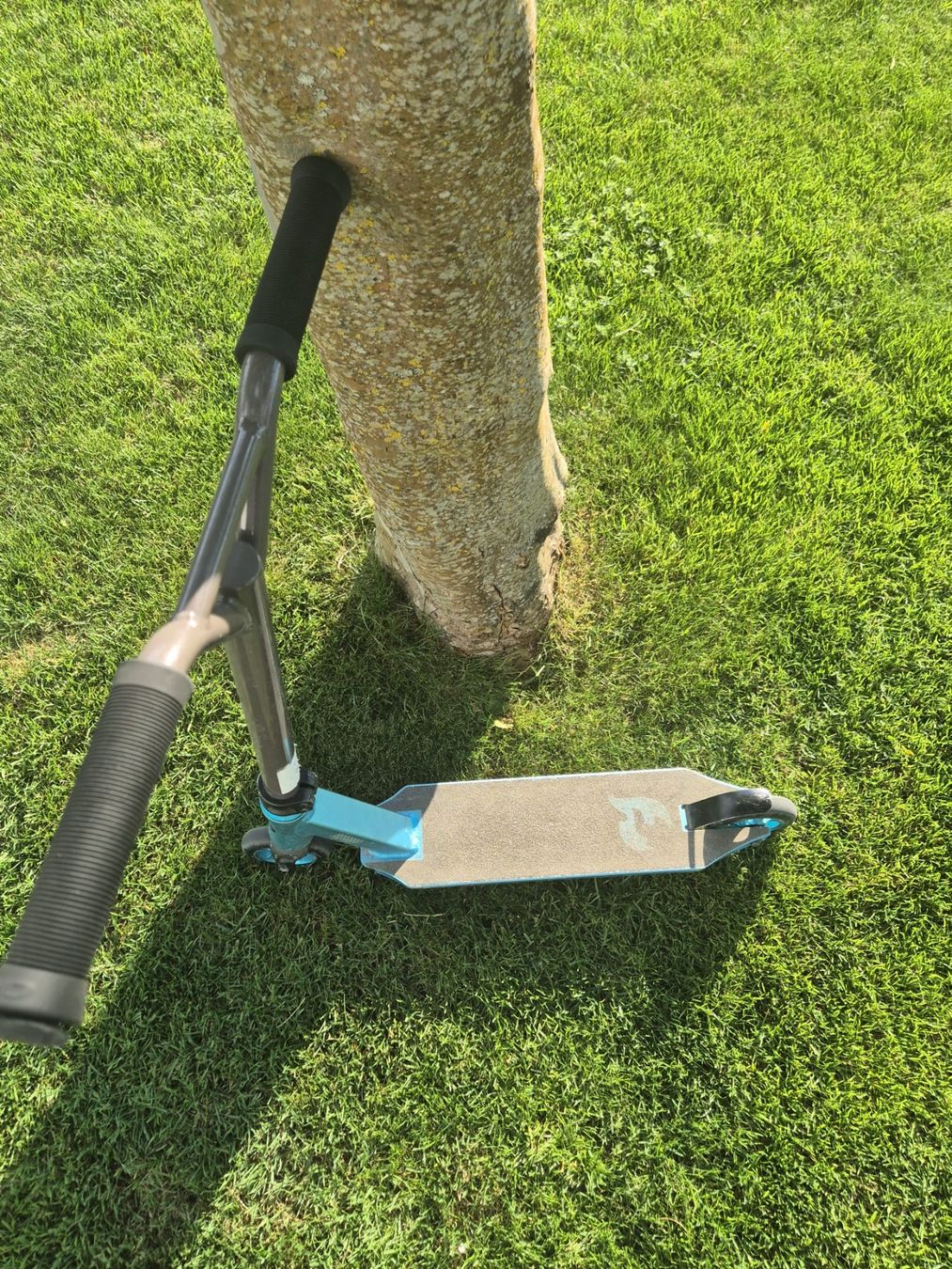 Kickboard: Chilli Scooter 3000 – Usato da Rekingen AG venduto da sternn80 1