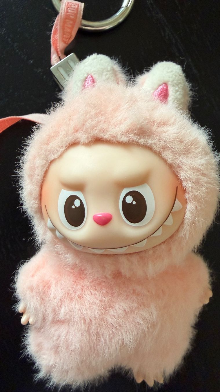 Pop Mart Schlüsselanhänger & - bänder: Labubu Keychain – Gebraucht aus Zürich von pre_vy7t 1