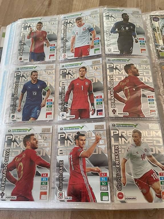 Album: Paniniheft 2020 – Usato da Kleinandelfingen venduto da kin_kkh2 3