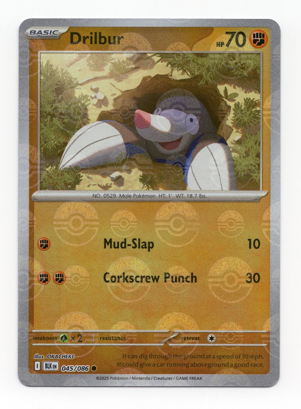 Pokémon Carte collezionabili: Drilbur 045/086 Pokeball Pattern Black Bolt Englisch – Nuovo (secondo la descrizione) da Oberglatt ZH venduto da DSGS37