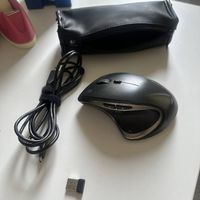 Souris Logitech sans fil ergonomique