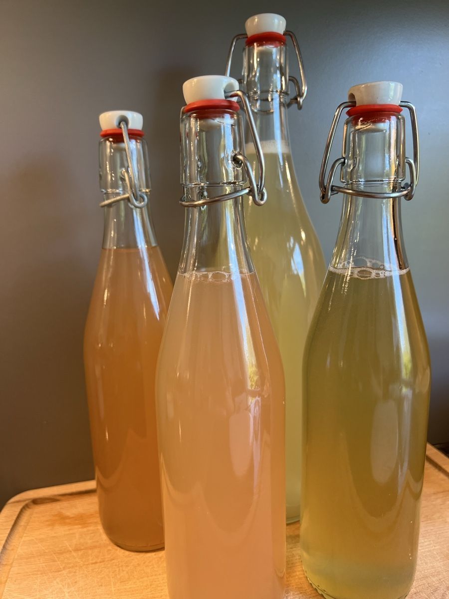 Aliments & Spécialités: ✨Bio - Wasserkefir✨ – D'occasion à Bern par gen_j9gp 1