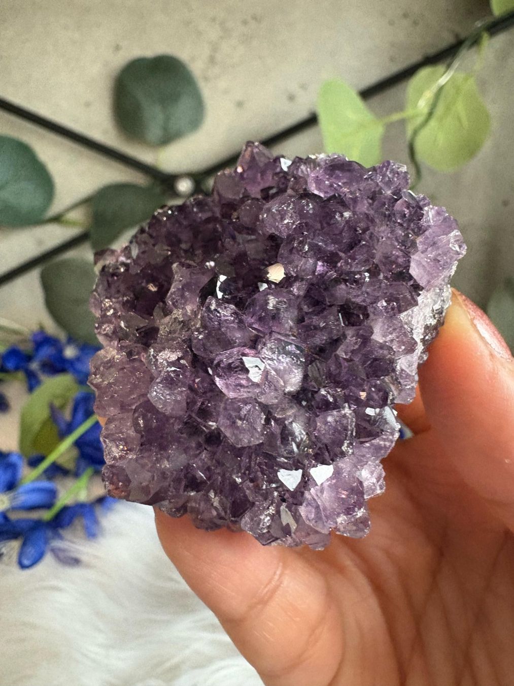 Edelsteine: Uruguay Amethyst – Super High Quality – Neu (gemäss Beschreibung) aus Neuheim von m.hald 6