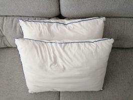 Two Clean White Pillows Washable 