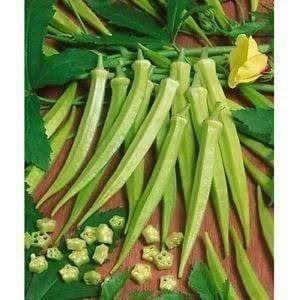 Piante & sementi: GOMBO CLEMSON OKRA  15g – Nuovo (secondo la descrizione) da Bremblens venduto da FIBONACCI369 1