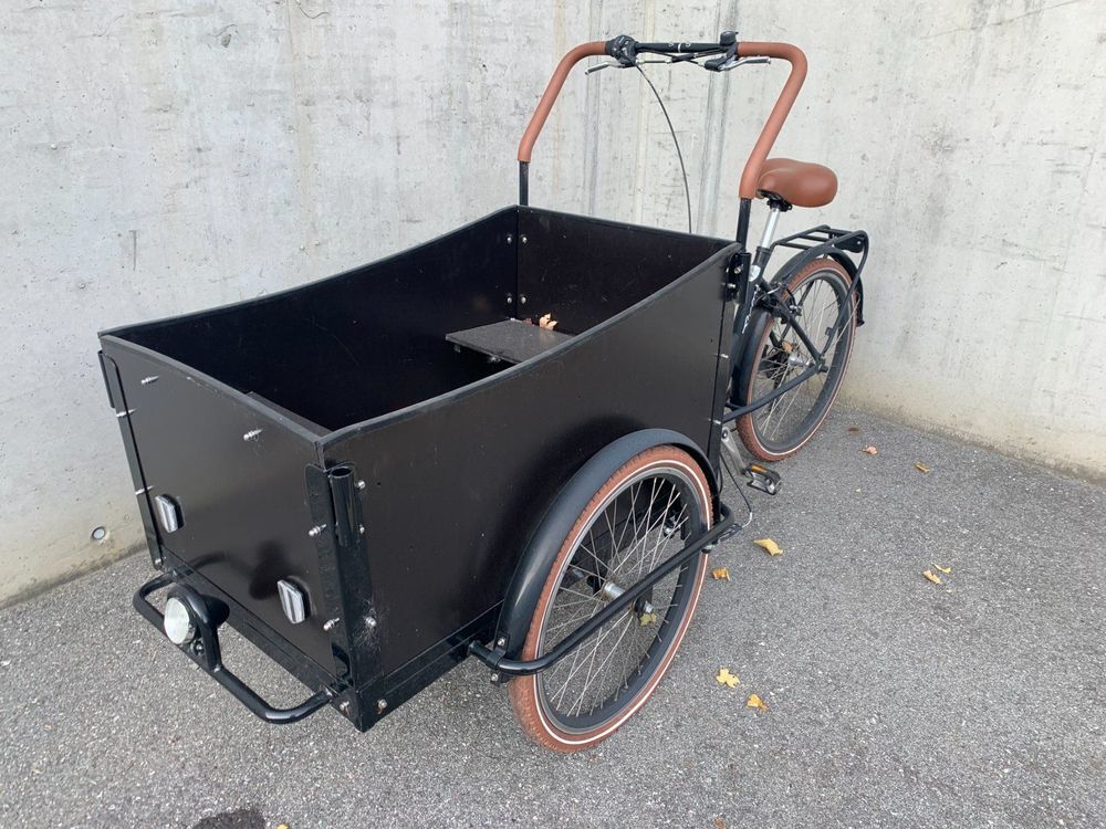 Troy best sale cargo bike