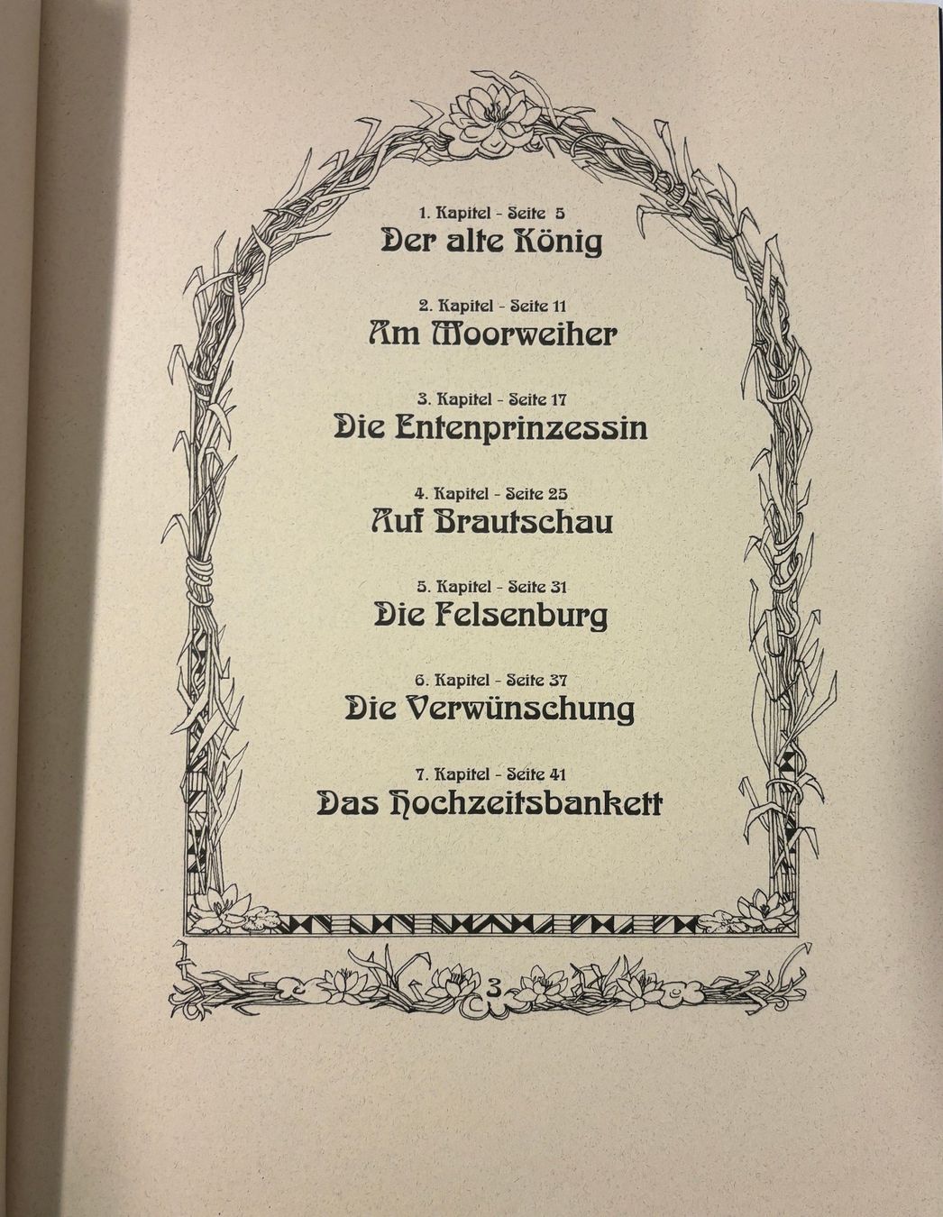Libri: Die Entenprinzessin – Nuovo (secondo la descrizione) da Sarnen venduto da Livres 1