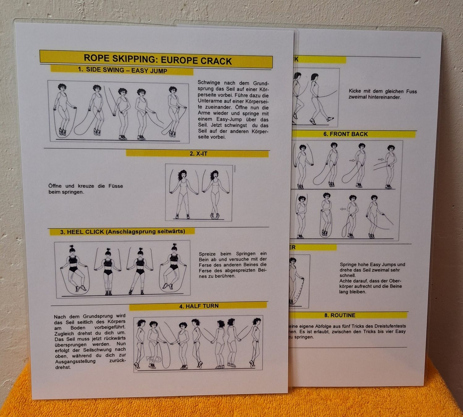 Corde per saltare: 18 ROPE SKIPPING Lernkarten-Set – Usato da Muri AG venduto da Edlerweiss 1
