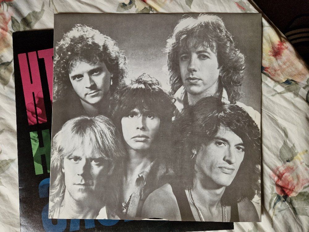 Dischi in vinile: Aerosmith – Done With Mirrors – Usato da Brittnau venduto da Zibu 2