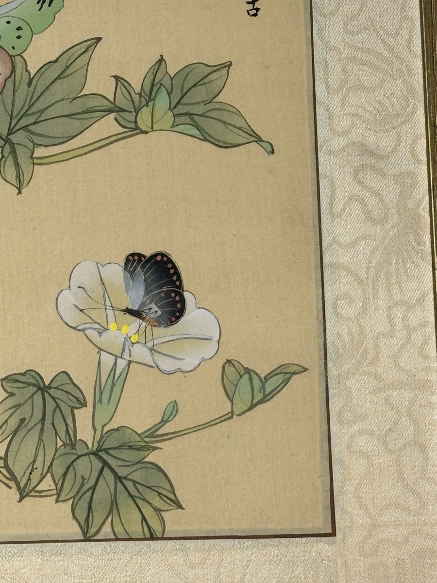 Dipinti: Chinesisches Aquarell Schmetterlinge – Usato da Grenchen venduto da swiss.antiques 5