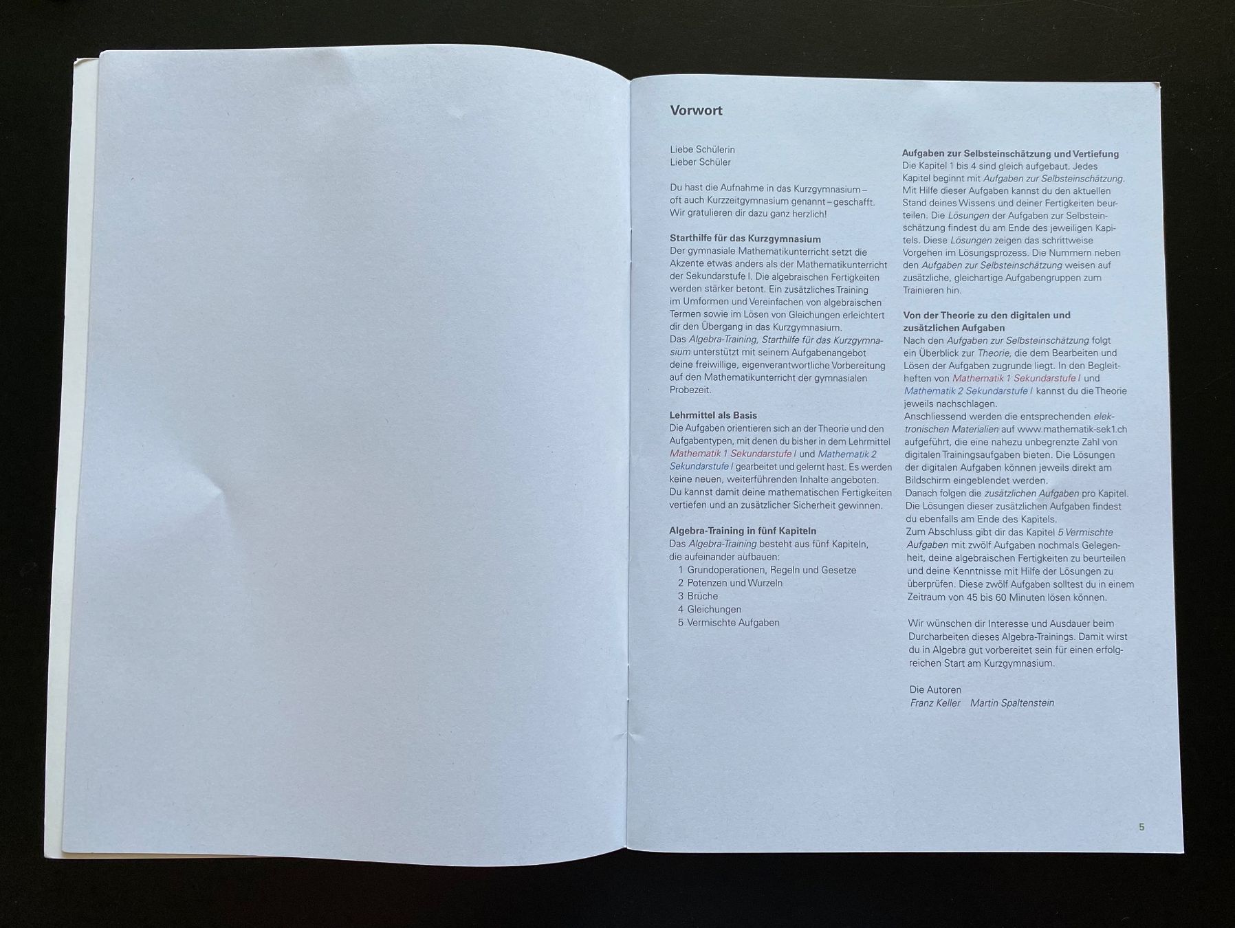 Libri: Algebra Training – Nuovo (secondo la descrizione) da Nussbaumen AG venduto da schuba2000 2