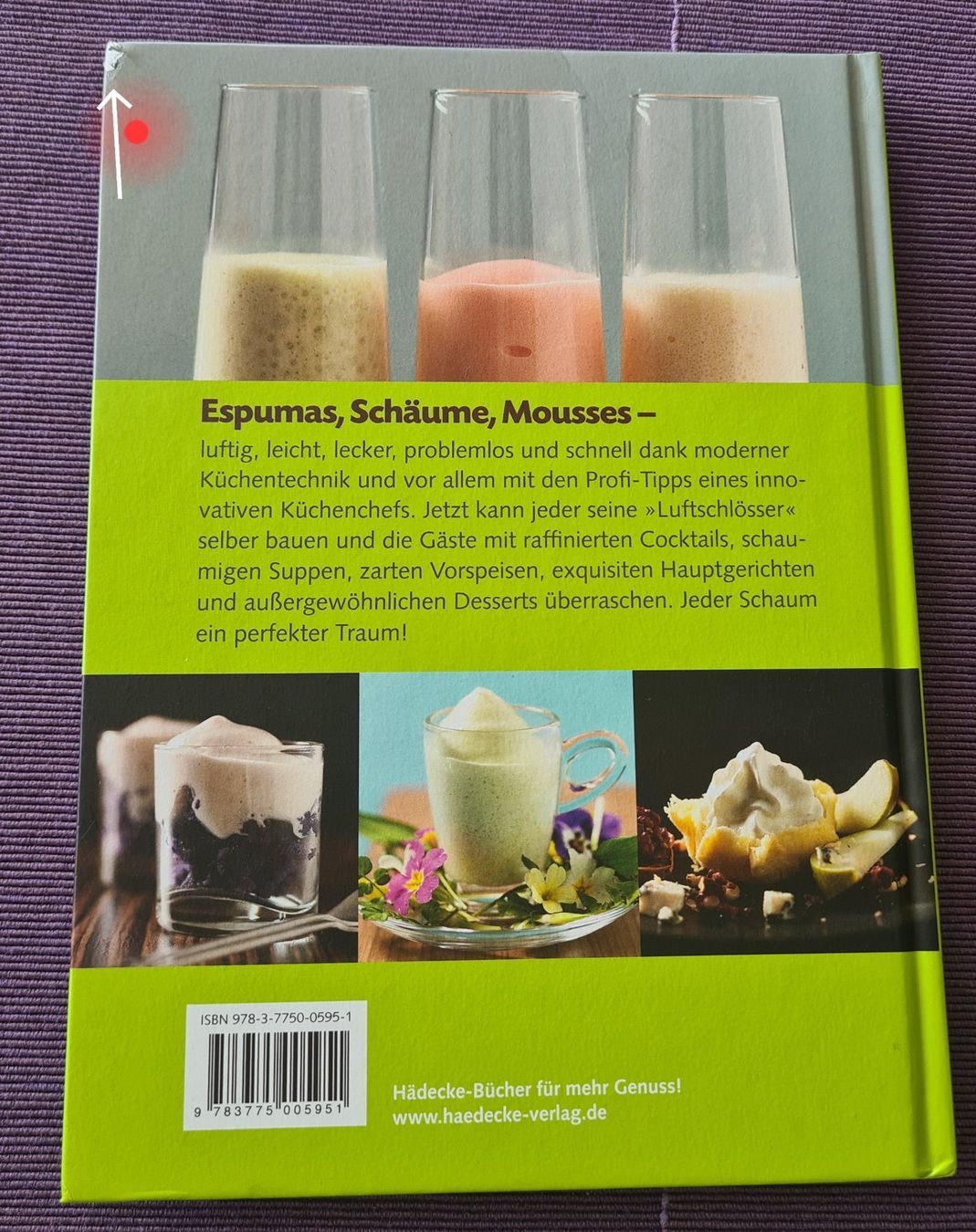 Libri: Espumas - Mousse & Schäume v. Thur Maag – Nuovo (secondo la descrizione) da Zumikon venduto da Rosa26 1