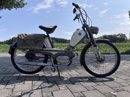 Pony Junior 503 2 Gang HS ab 1.-