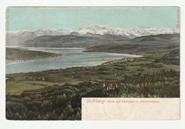 Postkarte 1903 Uetliberg, Blick auf Zürichsee Glarneralpen