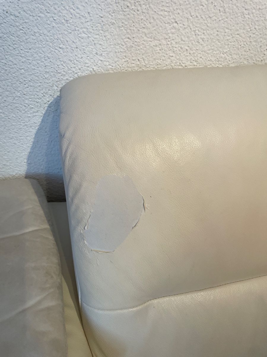 Divani: Bettsofa für WG – Usato da Oberrohrdorf venduto da Schnoitzel 2