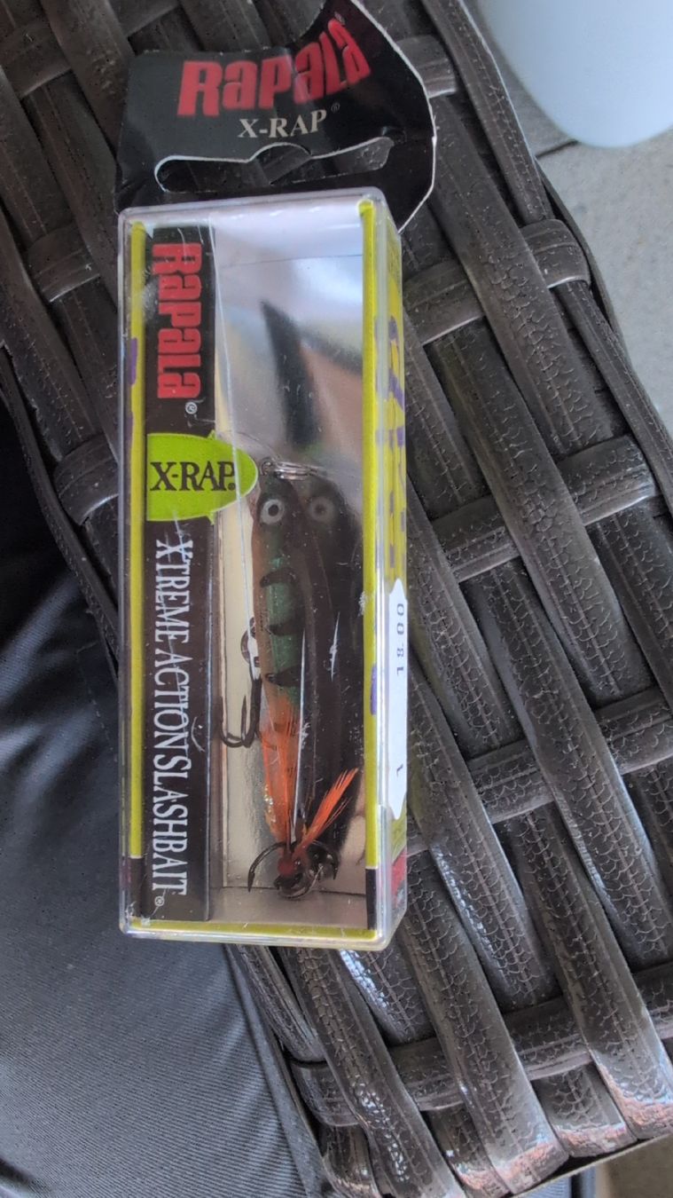 Esche: Top Egli Köder Set. Rapala,Berkley,Stucki – Nuovo (secondo la descrizione) da Seuzach venduto da 8400Winti1 4