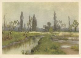 ungebrauchte PJ-Karte von 1947 "Altenrhein"