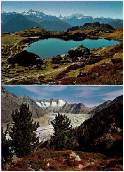 Ansichtskarten: Aletschgebiet - 2 Bild AK – Gebraucht aus Binningen von Mountainrider