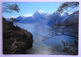 Vierwaldstättersee, Gitschen und Urirotstock