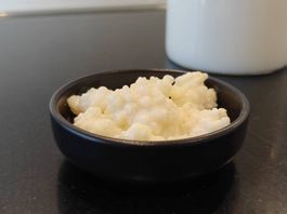 Bio-Kefirknollen (ca. 15g) aktiv & vermehrungsfreudig