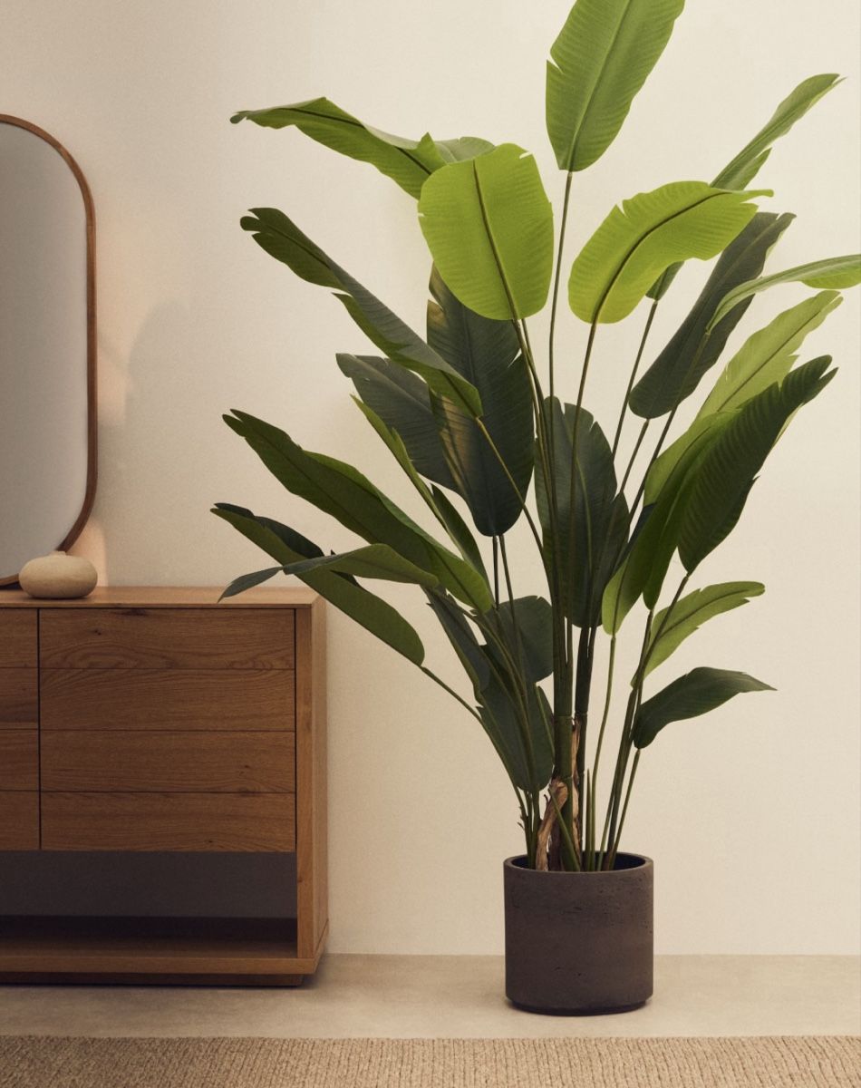 Tutte le decorazioni: Kave Home Banano – Nuovo e nell'imballaggio originale da Lostallo venduto da Essebii