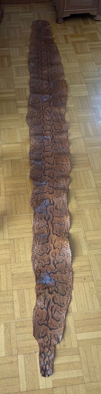 Chaussures femmes: Echtleder Schlange braun Grösse ca 255 cm,Python – D'occasion à Frick par Rukki